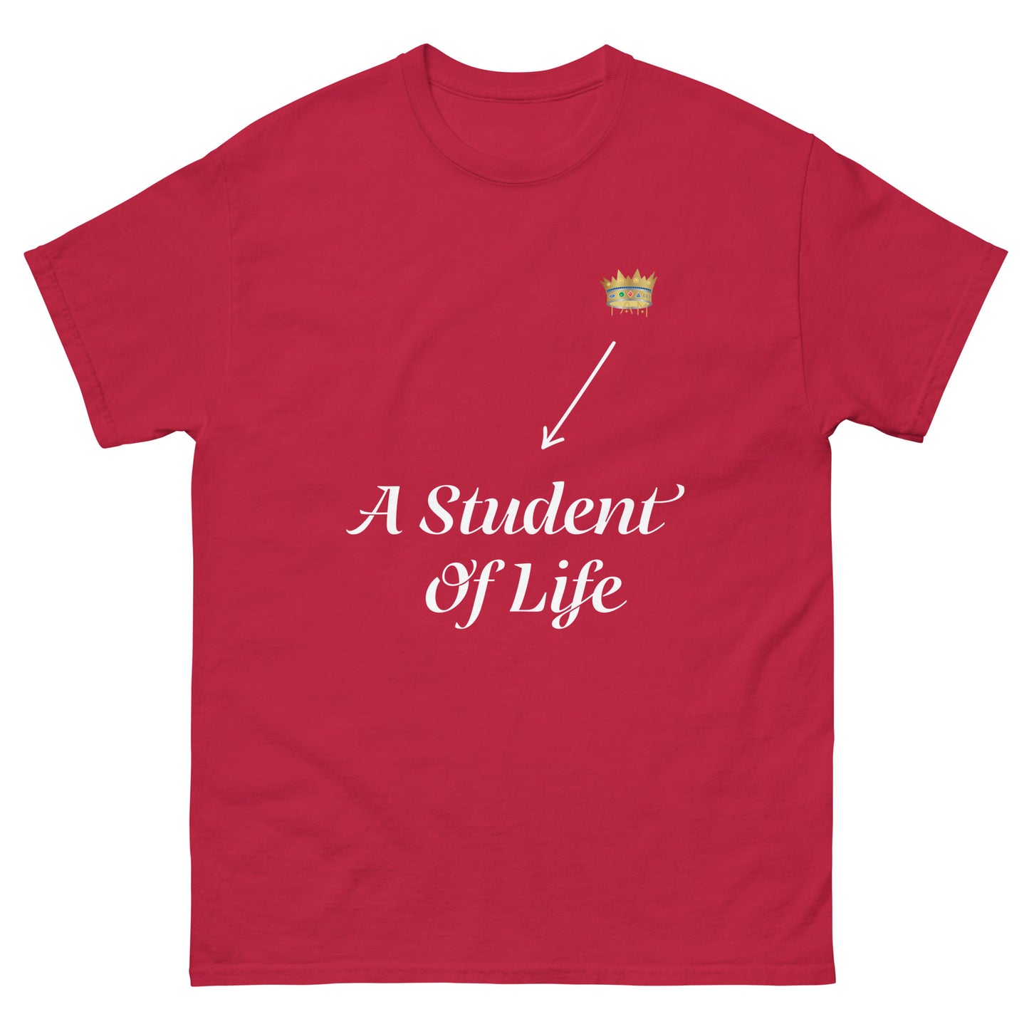 I am a student of life